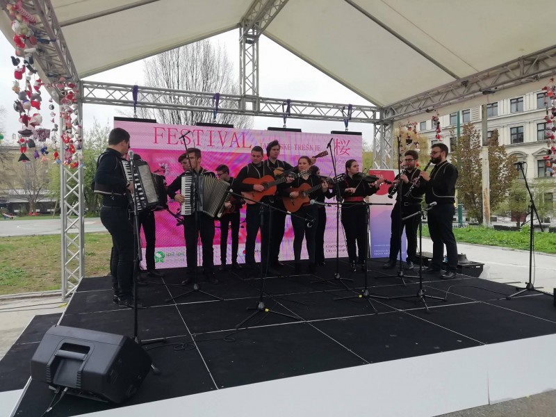 2019 JAPANESE CHERRY FESTIVAL
