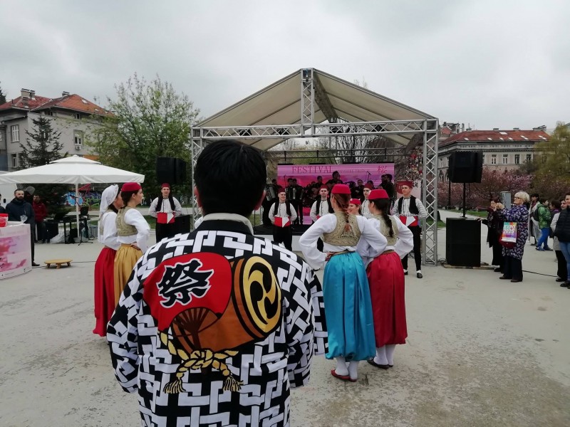 2019 JAPANESE CHERRY FESTIVAL