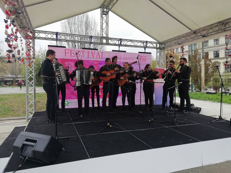2019 JAPANESE CHERRY FESTIVAL
