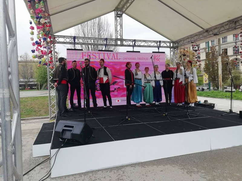 2019 JAPANESE CHERRY FESTIVAL